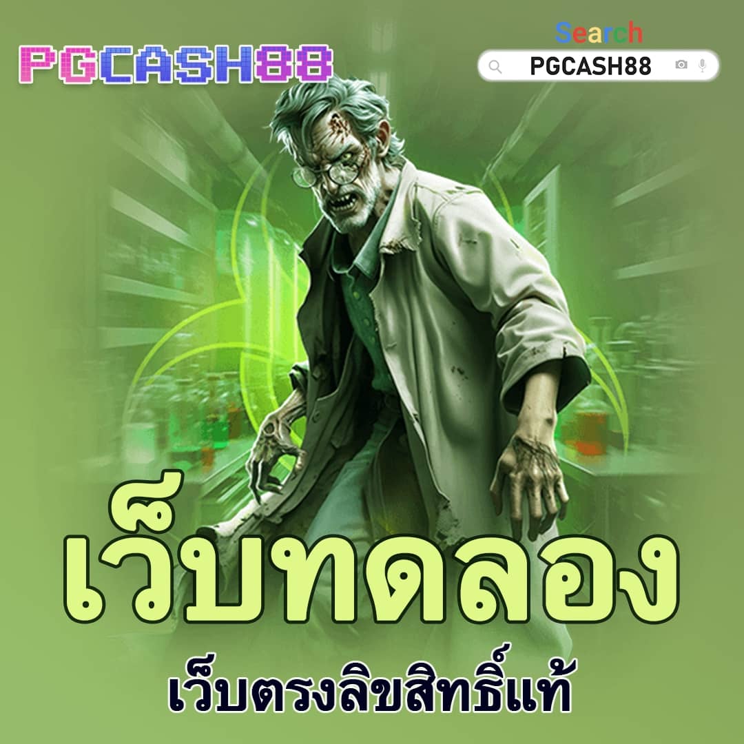 omg333 สล็อต